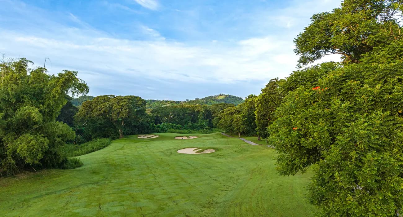 Mimosa Plus Golf Course Clark